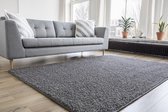 Hoogpolig Vloerkleed Grijs - Shaggy Collection - 200 x 290 cm (L) - Polypropyleen - 200 x 290 cm - (L)