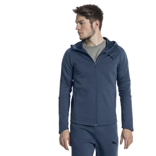 puma evostripe move fz hoodie