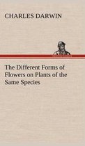 The Different Forms of Flowers on Plants of the Same Species