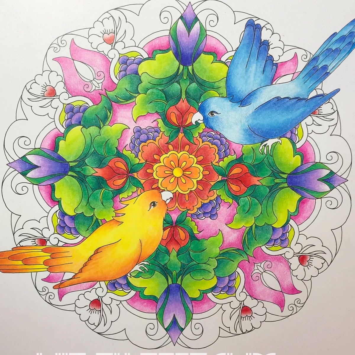 Masja van den Berg - Masja's Mandala's - kleuren voor volwassenen - mandala - kleuren met stiften voor volwassenen - kleuren met potloden voor volwassenen - kleurboek voor volwassenen - mandala's kleuren — afbeelding 3
