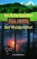 Im Hollerbachtal / Der Waldprophet