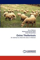 Ovine Theileriosis