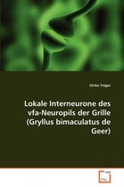 Lokale Interneurone des vfa-Neuropils der Grille (Gryllus bimaculatus de Geer)