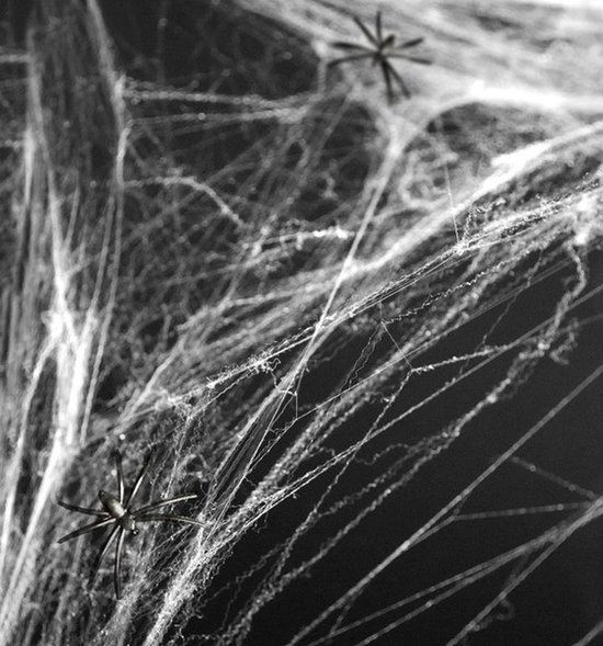 Halloween Correlaat Omgekeerde Halloween Witte spinnenweb decoratie met 2 spinnen - Halloween/horror... |  bol.com
