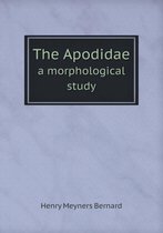 The Apodidae a morphological study