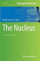 The Nucleus