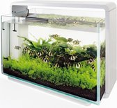 Glazen dekruit voor deze home aquarium 80 (exclusief aquarium!)