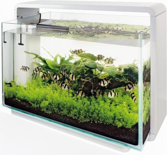Couvercle en verre pour cet aquarium domestique 80 (hors aquarium!) |  bol.com