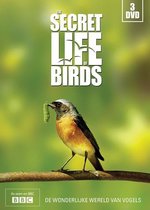 The Secret Life Of Birds