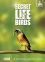 The Secret Life Of Birds