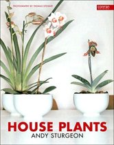 House Plants
