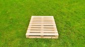 Nieuwe 100x120 pallets (10 stuks)