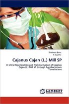 Cajanus Cajan (L.) Mill SP