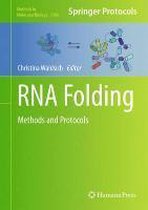 RNA Folding