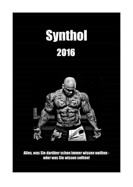 Synthol 2016 - cover