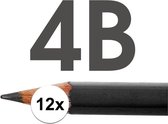 12x HB potloden voor volwassenen hardheid 4B