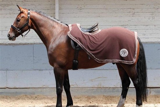 Mart Rennen consumptie Harry's Horse Uitrijdeken fleece - maat M - bruin | bol.com