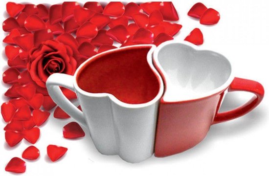 Meestal overtuigen vergeten Valentijn liefdes mokken | bol.com