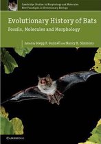Evolutionary History Of Bats
