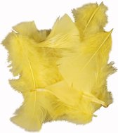 Dons, afm 7-8 cm, geel, 500 gr