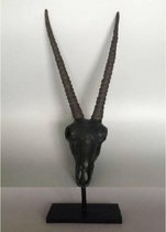 Gemsbok schedel met hoorns - Zwart - Op metalen voetstuk
