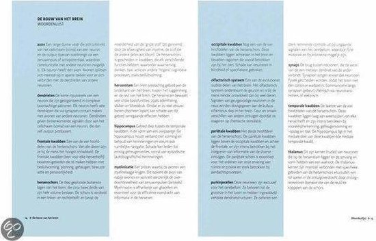Boekpagina met 'De bouw van het brein' woordenlijst, met twee kolommen tekst.