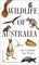 Wildlife Of Australia