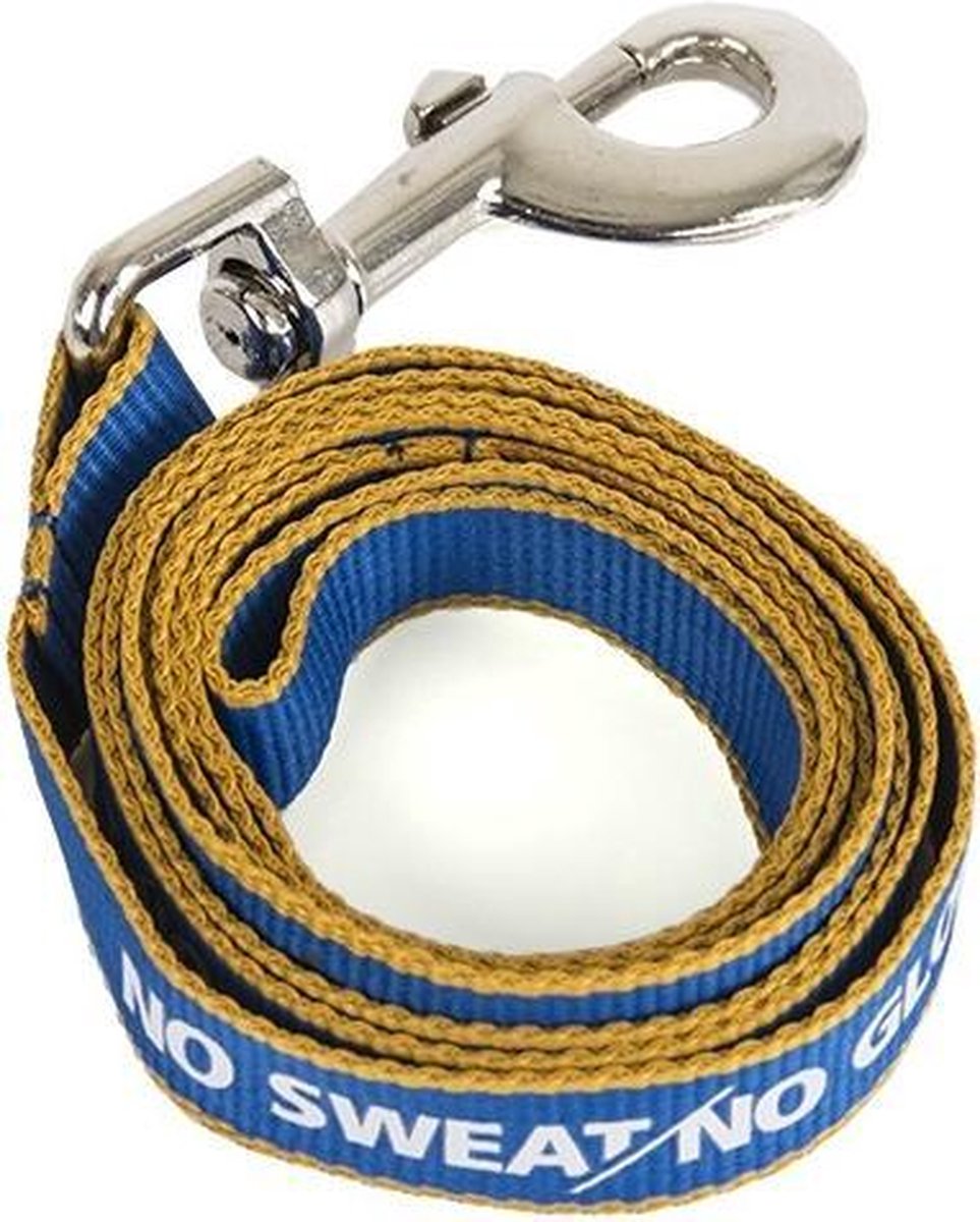 Club Brugge Leiband