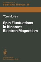 Spin Fluctuations in Itinerant Electron Magnetism