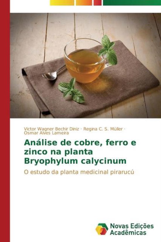 Análise de cobre, ferro e zinco na planta Bryophylum calyci ... - cover