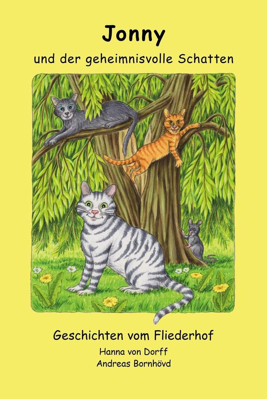 Jonny und der geheimnisvolle Schatten - cover
