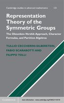 Cambridge Studies in Advanced Mathematics 121 -  Representation Theory of the Symmetric Groups