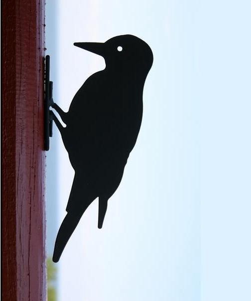 Silhouet specht