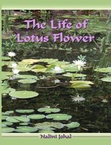 The Life of Lotus Flower