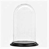 Glazen stolp met zwart houten voet H 45 cm x D 26 cm