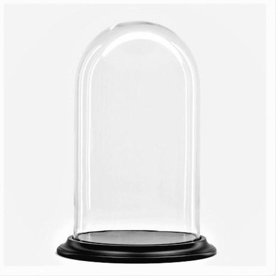 Veroorloven schermutseling Deter Glazen stolp met zwart houten voet H 45 cm x D 26 cm | bol.com