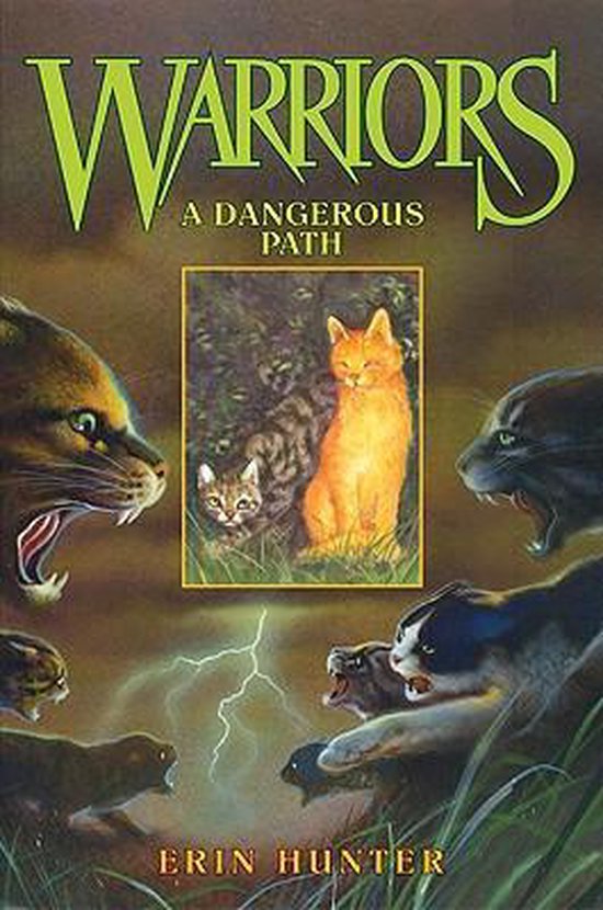 A Dangerous Path - cover