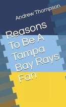 Reasons to Be a Tampa Bay Rays Fan