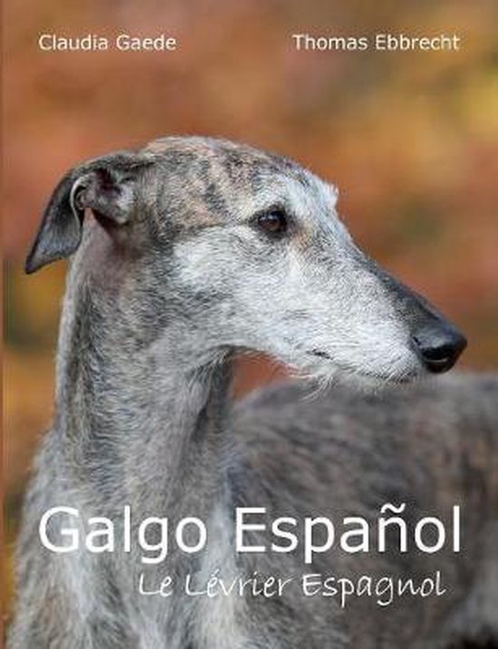 Galgo Español - cover