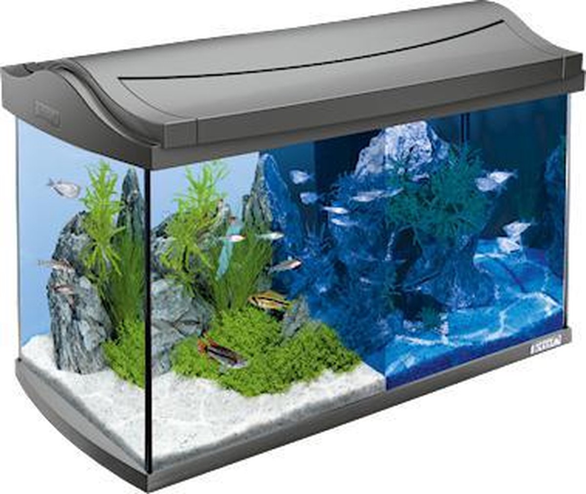Tetra AquaArt LED Aquarium 30x30x30 cm 20L Antraciet bol