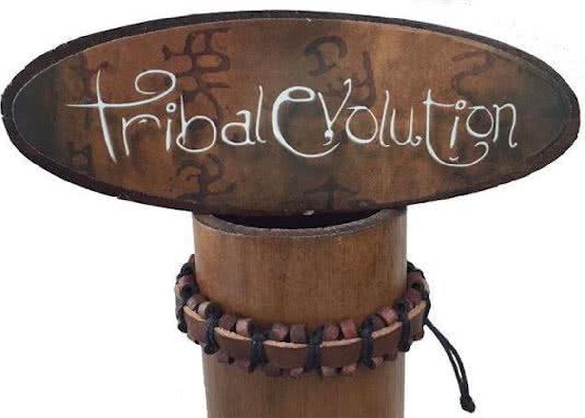 Afbeelding van product Tribal Evelotion  Armband "leer" met geknoopt touw - Variant 5