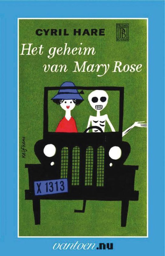 Cover van het boek 'geheim van Mary Rose'