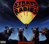 Strays with Rabies