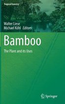 Bamboo