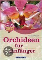 Orchideen für Anfänger