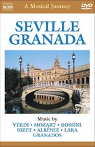 Seville: A Musical Journey