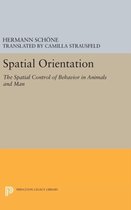 Spatial Orientation