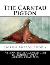 The Carneau Pigeon