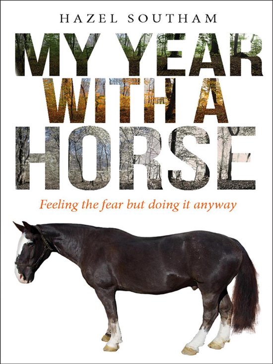 My Year With a Horse - cover