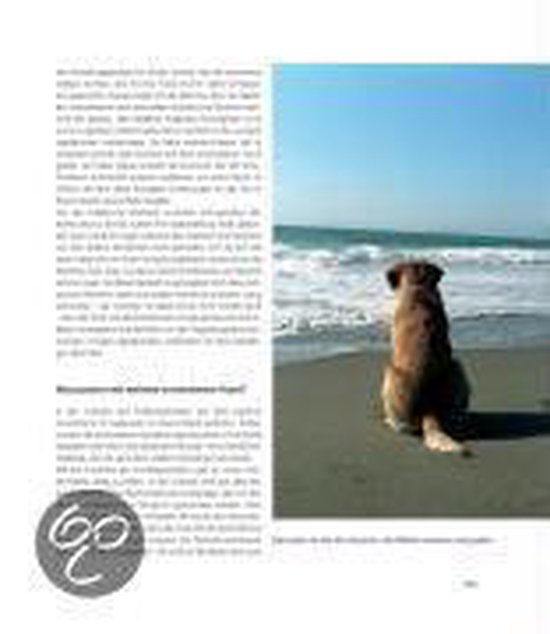 Omslag van Labrador Retriever